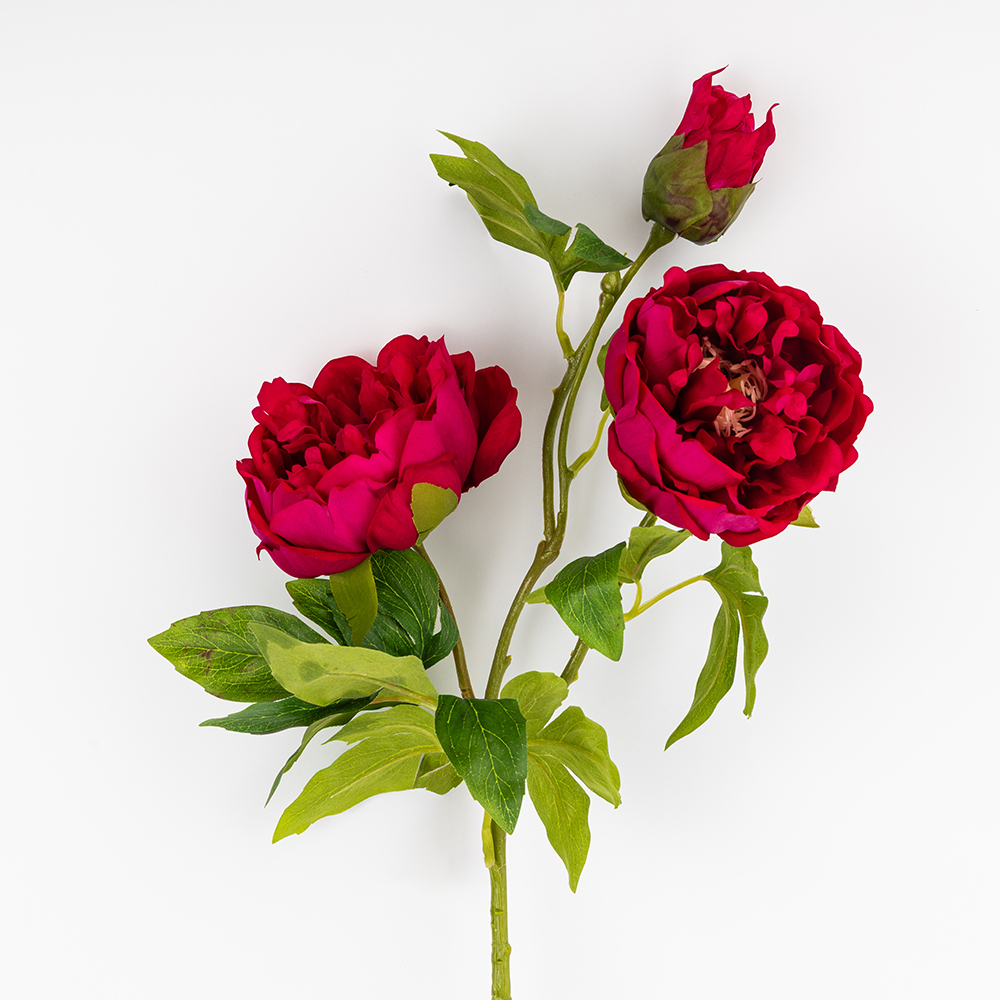 ФОТО КАРТИНКИ ЗОБРАЖЕННЯ Штучна півонія з 3 бутонами з ефектом живого дотику, рожева, 80 см BOHODAR 2025-012 РОЗДРІБ ОПТ ГУРТ ГУРТОМ ОПТОМ! З ЄВРОПИ! ЯКІСТЬ! Купити Львів Характеристики Ціна Оплата Доставка "БОГОДАР" ІНТЕРНЕТ-МАГАЗИН Огляд Рейтинг Порівняння Як вибрати Якісний