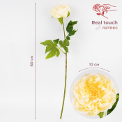 ФОТО КАРТИНКИ ЗОБРАЖЕННЯ Штучна півонія з ефектом живого дотику, кремова, 60 см BOHODAR 2025-007 РОЗДРІБ ОПТ ГУРТ ГУРТОМ ОПТОМ! З ЄВРОПИ! ЯКІСТЬ! Купити Львів Характеристики Ціна Оплата Доставка "БОГОДАР" ІНТЕРНЕТ-МАГАЗИН Огляд Рейтинг Порівняння Як вибрати Якісний